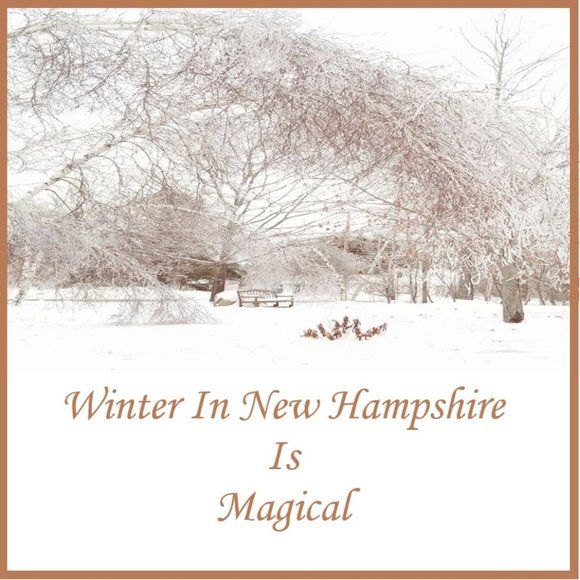 ☆ Woohoo ! Made It To 500,000 ☆ - Picture 4 of 11